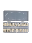Ivorine Teeth 860 Set of 1 x 32